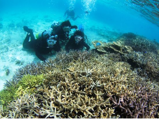 体験ダイビング　少人数制で安心！ビーチエントリーで初心者にもおすすめ＜ビーチ／1ダイブ／宮古島＞
