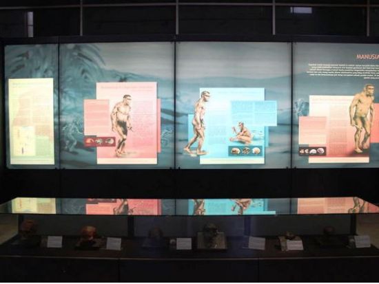 ジャカルタ市内＆ボゴール観光　1日で巡る定番ツアー ＜貸切／昼食付き／1日＞