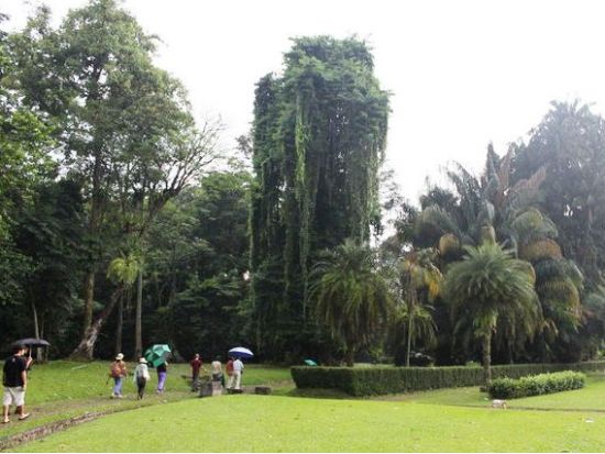ジャカルタ郊外貸切ツアー　ボゴール高原＆タマン・サファリ ＜平日／日本語ガイド／昼食付き／市内往復送迎／終日＞