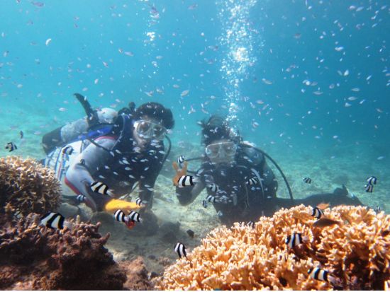 体験ダイビング　初めての方も安心の1グループ毎のエントリー！＜ビーチ or ボート／1～2ダイブ／送迎あり／伊良部島・下地島・来間島・宮古島他＞