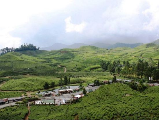 ジャカルタ郊外貸切ツアー　ボゴール高原＆タマン・サファリ ＜平日／日本語ガイド／昼食付き／市内往復送迎／終日＞