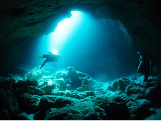 ファンダイビング　1グループ5名までの少人数制で初心者ダイバーもしっかりサポート＜ビーチ or ボート／1～3ダイブ／送迎あり／伊良部島・下地島・来間島他＞