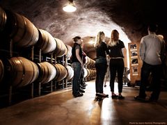 USA_California_Sonoma Wine Tour