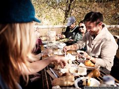 USA_California_Sonoma Wine Country Tour