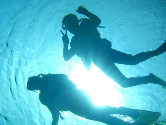 慶良間半日シュノーケリング  ウミガメ探索やマリンアクティビティ、体験ダイビングのセットプランあり＜那覇市内送迎無料／3時間＞