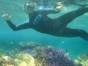 fitzroy_snorkel_underwater