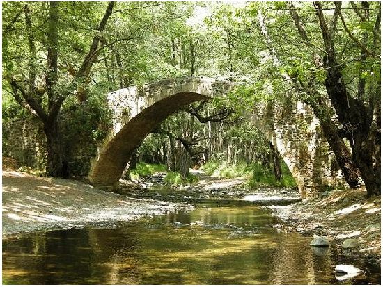 トロードス山脈＆キーコス修道院観光ツアー＜木曜日／パフォス発＞