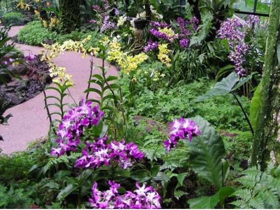 シンガポール観光ツアー　さくっと名所巡り！マーライオン＋国立蘭園＋サンズ・スカイパーク＜日本語／飲茶ランチ＞