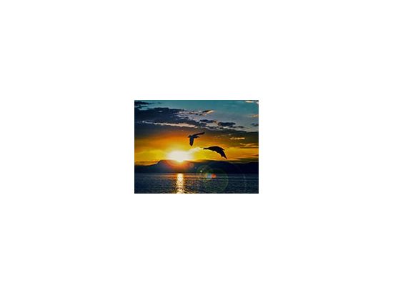 新鮮な海老が食べ放題！夏の夕暮れ フィヨルドナイトクルーズ＜5月～10月／オスロ発＞