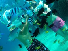 20140513003056_173054_P1010010_01