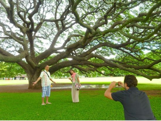 バン貸切チャーター フレンドリーなガイドと英会話を交えながら楽しく巡ろう！団体OK＜1～14名／4～13時間／英語ガイド／空港送迎可＞