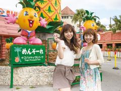 名護パイン園-2