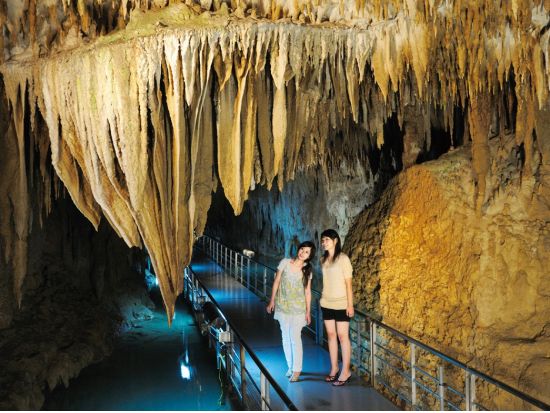 沖縄の歴史と文化に触れるバスツアー 世界遺産「首里城」＋ひめゆりの塔＋おきなわワールドなどをめぐる1日観光＜ランチ付き／那覇発・空港お送り可／2歳以下無料＞