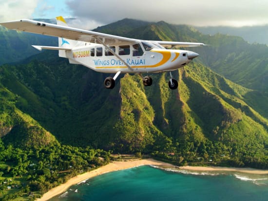 Image result for hawaii avioneta
