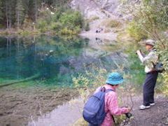 grassy-lake