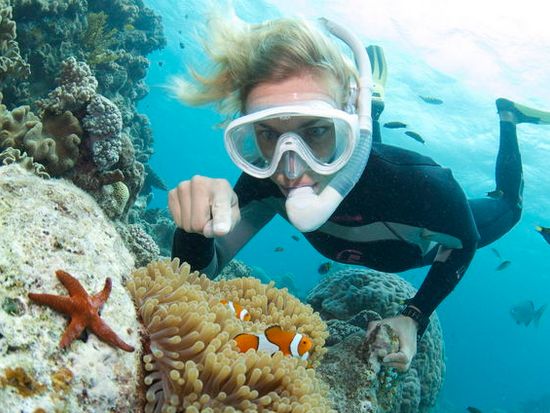 great barrier reef, snorkel, diving