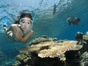 great barrier reef, snorkel, diving