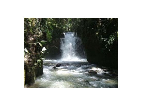 カベベ村　渓流と滝のネイチャーウォーク　半日観光ツアー＜英語ガイド／昼食付き／ゴロカ発＞