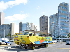 hawaiiduck02
