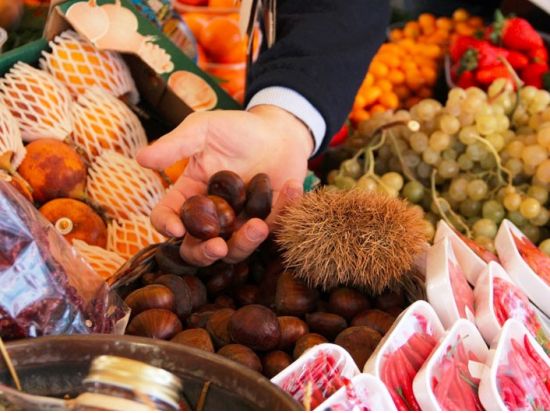 本場イタリア料理を学ぶ！クッキングレッスン in マッツァーノ・ロマーノ ＜貸切またはグループレッスン／ローマ発＞