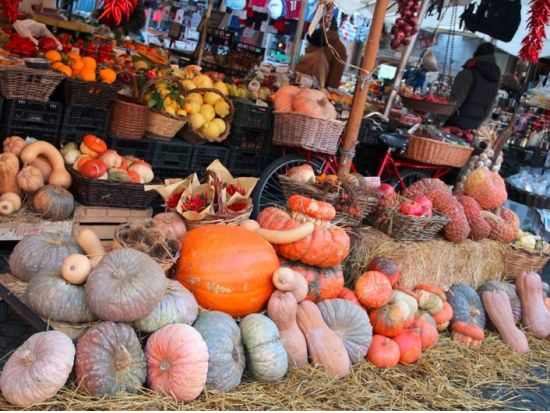 本場イタリア料理を学ぶ！クッキングレッスン in マッツァーノ・ロマーノ ＜貸切またはグループレッスン／ローマ発＞