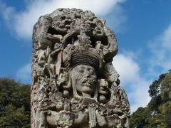copan,sutela