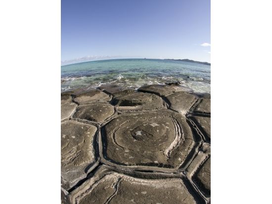 レンタカー予約サービス 選べるクラス！免責補償料込み（S・Kクラス）＜空港送迎可／1日～7日／久米島＞by イーストレンタカー