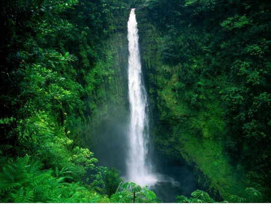ハワイ島エコアドベンチャーツアー　ワイピオ渓谷展望台からの眺めやボタニカルガーデン、穴場スポットでの滝つぼ遊びも！＜1日／昼食・スナック付き／英語ガイド＞
