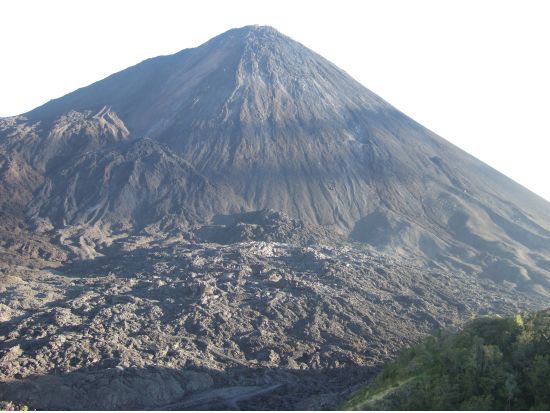 【プライベートツアー】パカヤ火山 半日ツアー＜車貸切／日本語ガイド／アンティグア発＞