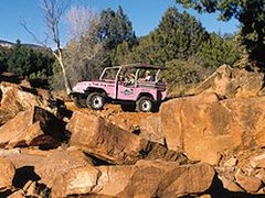 DIAMONDBACK GULCH5
