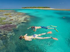 lady-musgrave-island-near-t