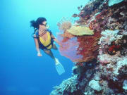 underwaterdiver2