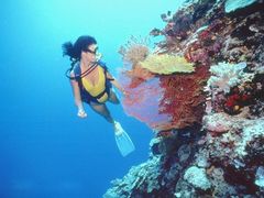 underwaterdiver2