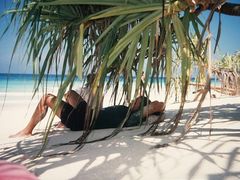 Laying_under_Pandanas