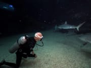Shark Dive Maui (R)_cr_Howard Rosenstein FANTASEA
