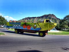 HydraDuck8