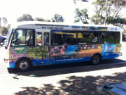 Mornington Bus