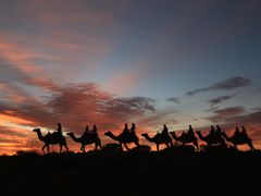 cid_IMG_4095