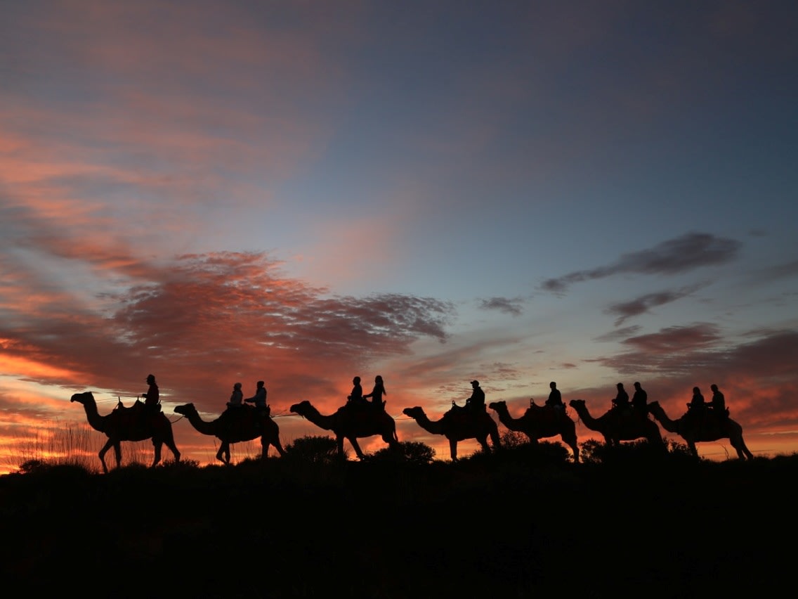camels to sunrise tour ayers rock ontour