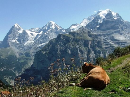 お好きなルートをご案内！おまかせハイキングツアー ＜4～11月／半日もしくは終日／日本語ガイド／出発地選択可＞