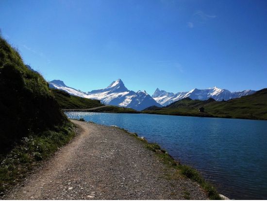 お好きなルートをご案内！おまかせハイキングツアー ＜4～11月／半日もしくは終日／日本語ガイド／出発地選択可＞