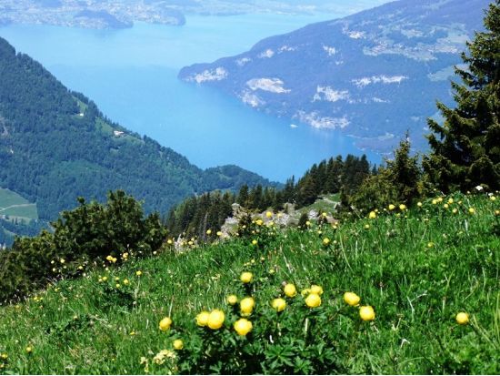 お好きなルートをご案内！おまかせハイキングツアー ＜4～11月／半日もしくは終日／日本語ガイド／出発地選択可＞