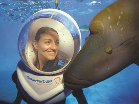 seawalker _ wally small