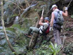 junglejump