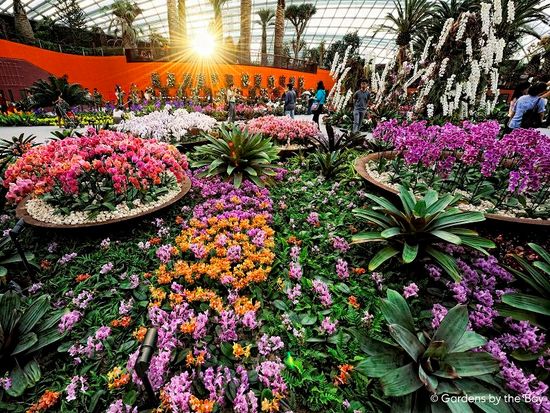 Flower Dome - Changing Floral Display