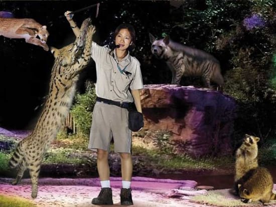 Singapore Night Safari Admission and Tram Ride tours, activities, fun  things to do in Singapore(Asia)｜VELTRA