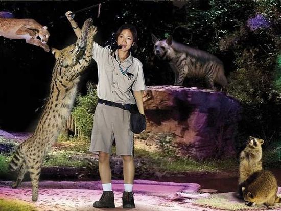 Singapore Night Safari Admission and Tram Ride tours, activities, fun things to do in Singapore(Asia)|VELTRA Singapore Night Safari Admission and Tram Ride tours, activities, fun things to do in Singapore(Asia)|VELTRA