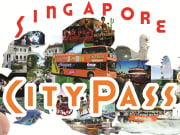 Singapore City Pass with Hand