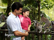 Singapore Zoo, Lemurs