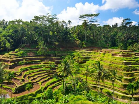 インドネシア バリ島 旅行の観光 オプショナルツアー予約 Veltra ベルトラ